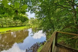 Photo 22- click for photo gallery